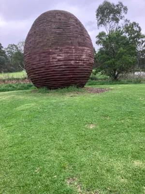 The nest